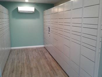 Hub package lockers